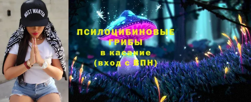 магазин продажи наркотиков  Баймак  Галлюциногенные грибы MAGIC MUSHROOMS 